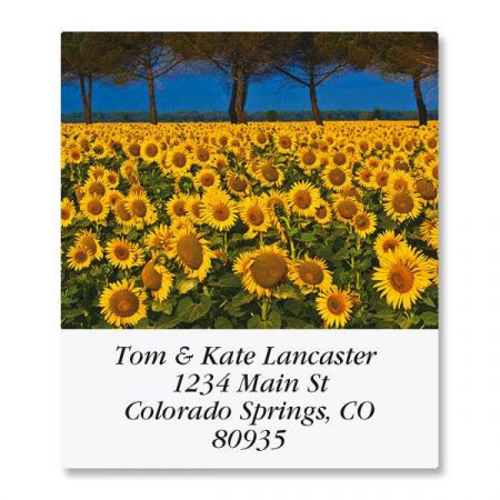 Sunny Sunflowers Select Address Labels (6 Designs)