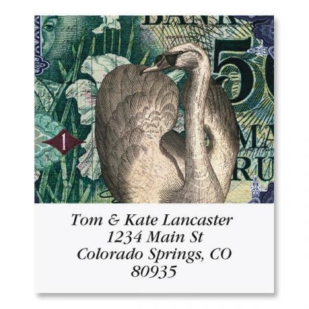 Birds of Finchley Select Address Labels (8 Designs)