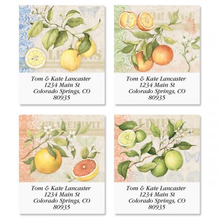 Citrus Select Address Labels (4 Designs)