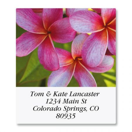 Floral Fantasy Select Address Labels (8 Designs)