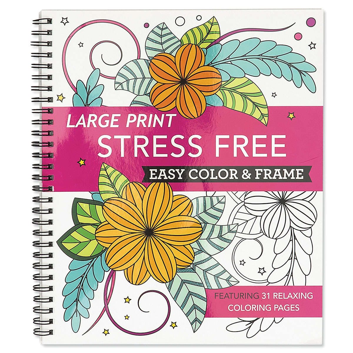 Large Print Stress Free Easy Color & Frame | Current Catalog