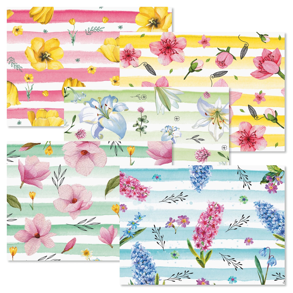 Spring Blossoms Blanko-Karten – 24 Stück Mit 6 Blumen-Designs & Umschlägen | 14 X 10,8 Cm