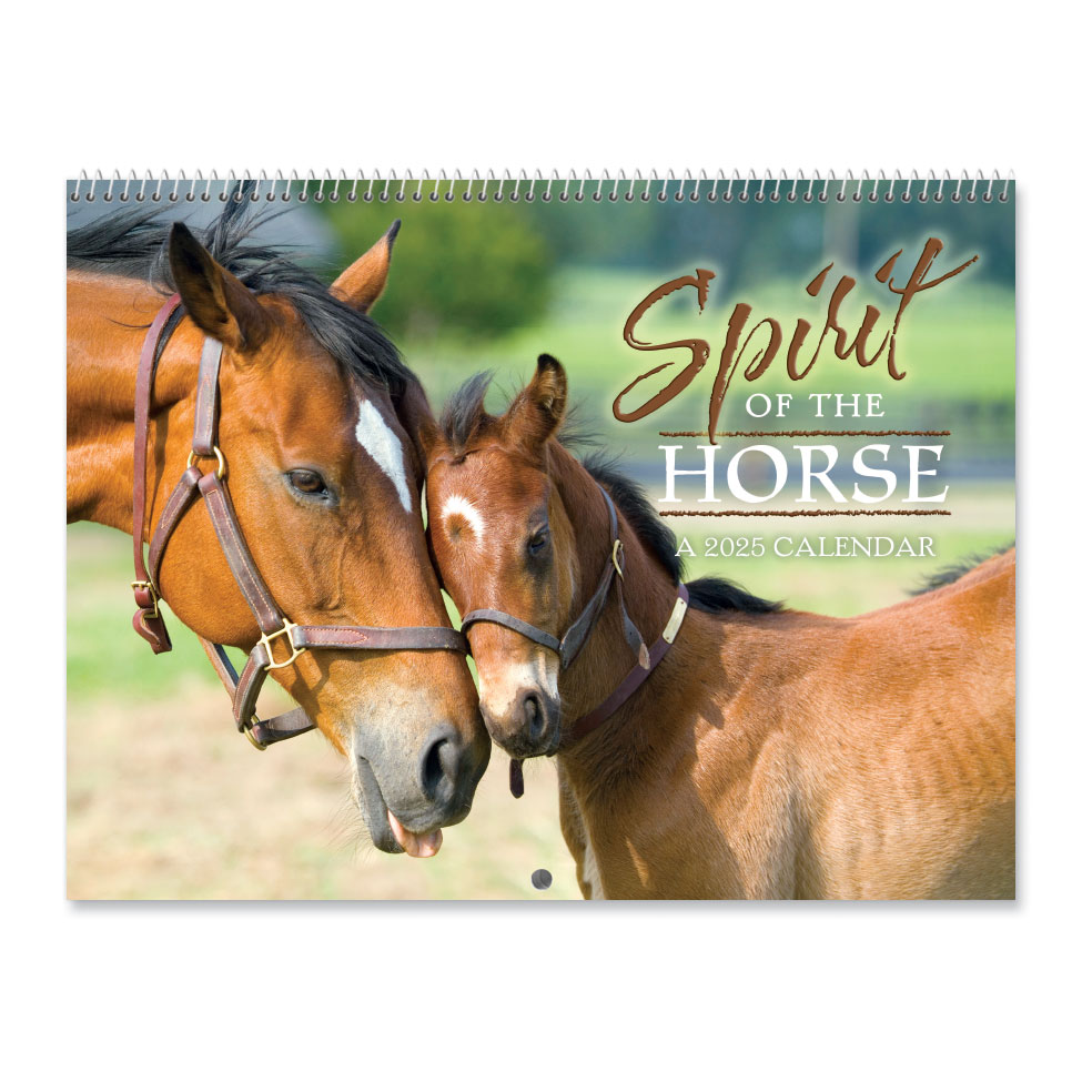 2025 Horses Wall Calendar Current Catalog