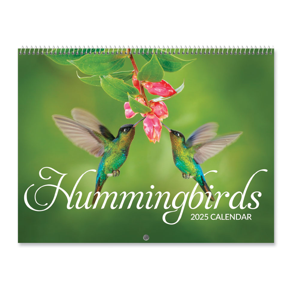 2025 Hummingbirds Wall Calendar Current Catalog