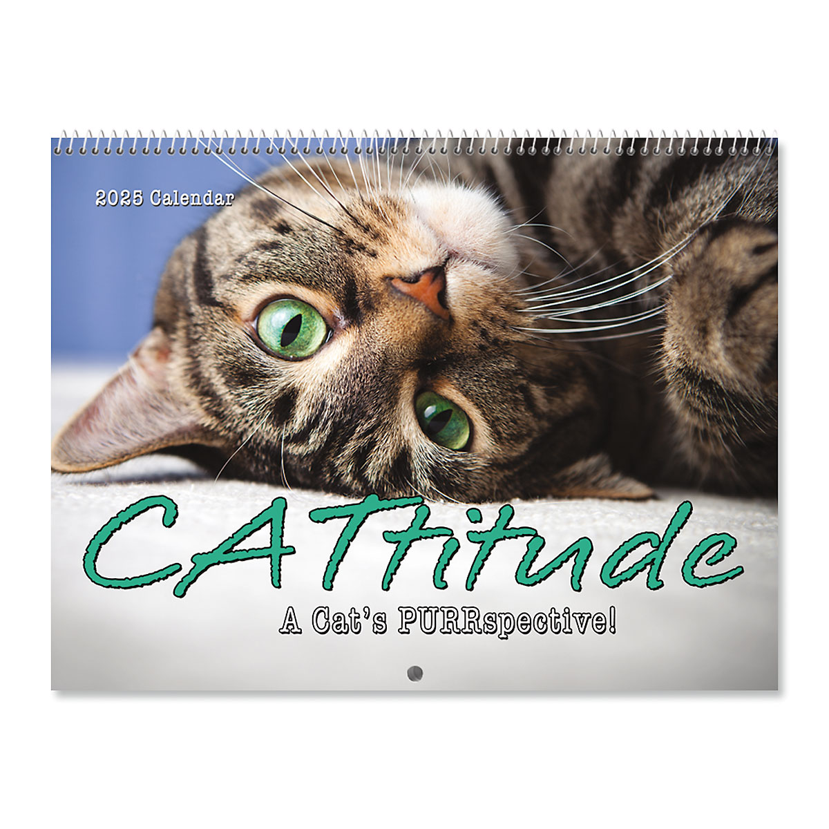 2025 CATtitude Wall Calendar Current Catalog