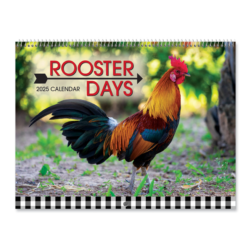 2025 Rooster Days Wall Calendar Current Catalog