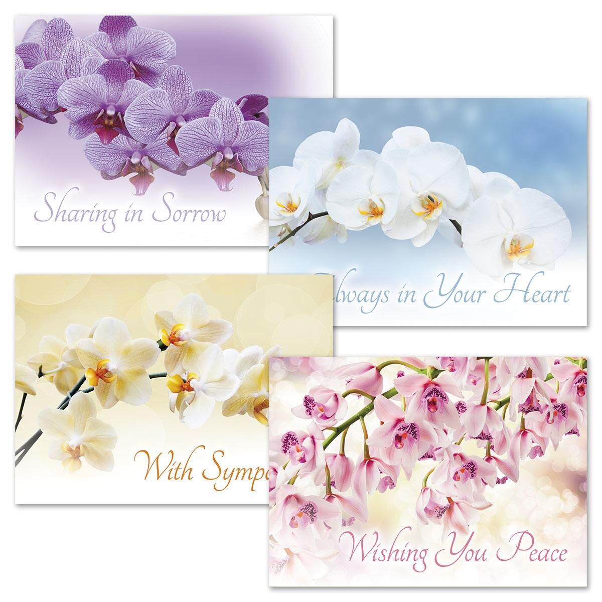 Orchid Sympathy Cards | Current Catalog