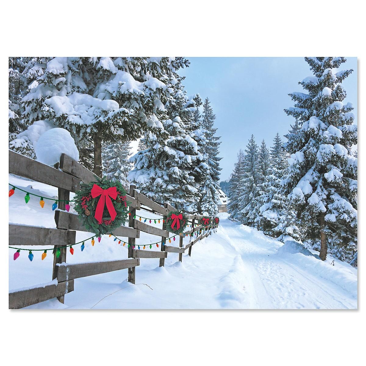 Forest Lane Christmas Cards | Current Catalog