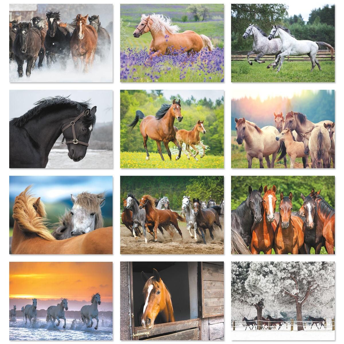 2018 Wall Calendar Playful Puppies A4 Australian Made Free Shipping 2018 Wall Calendar Playful Puppies A4 Australian Made Free Shipping