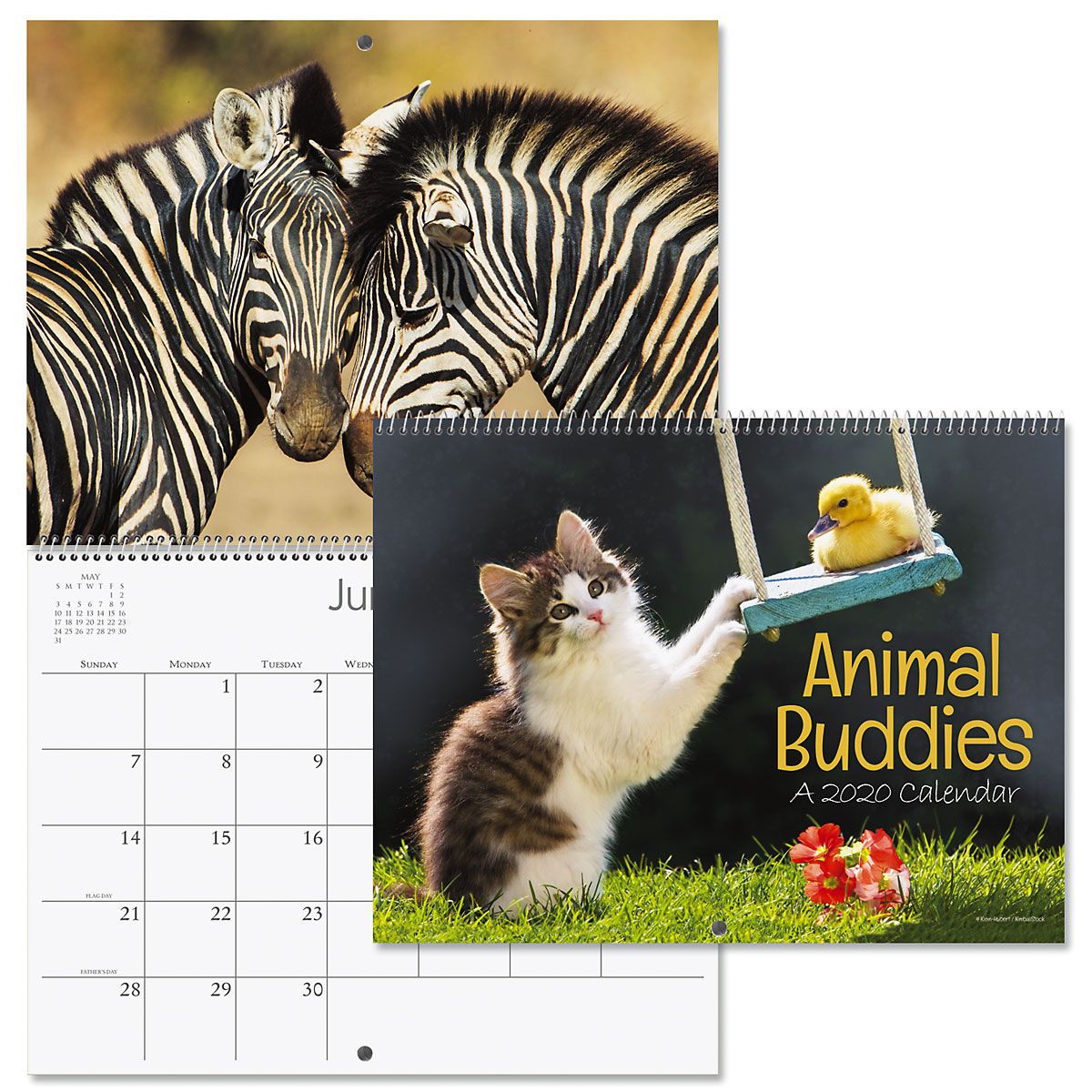 2020 Animal Buddies Wall Calendar