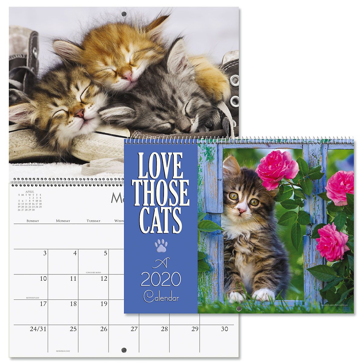 2020 Love Those Cats  Wall Calendar Current Catalog 