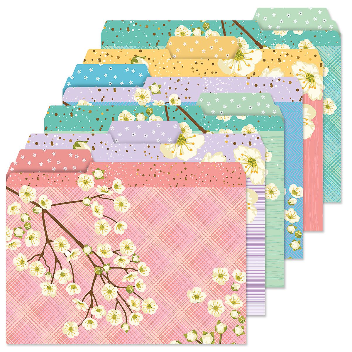 White Bloom File Folders Current Catalog