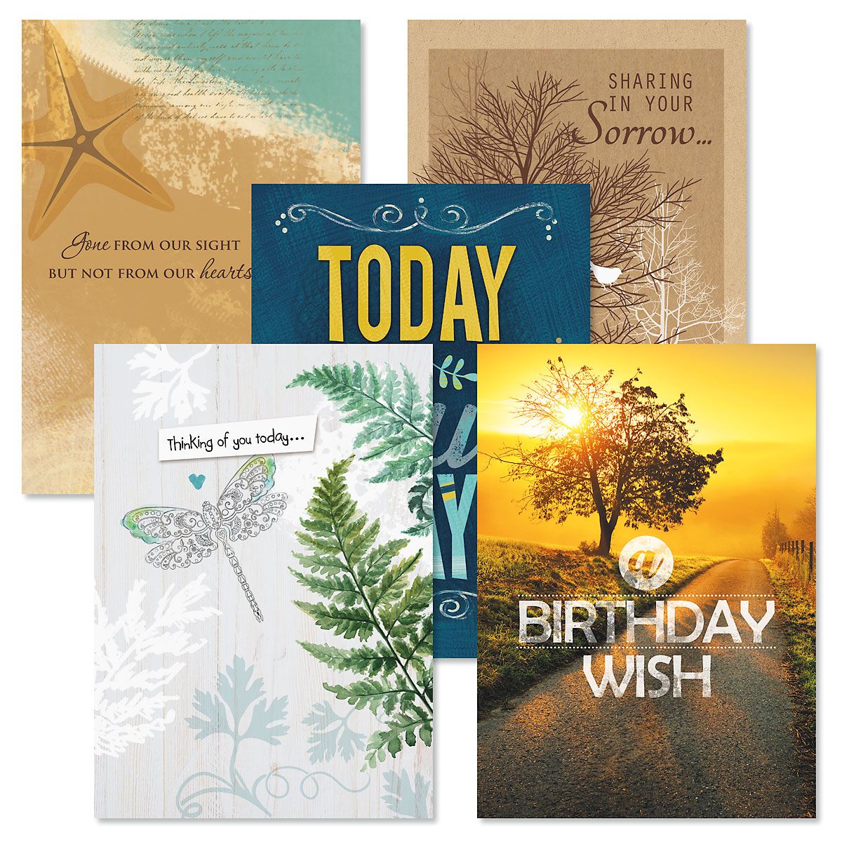 Masculine All Occasion Greeting Cards Value Pack Current Catalog