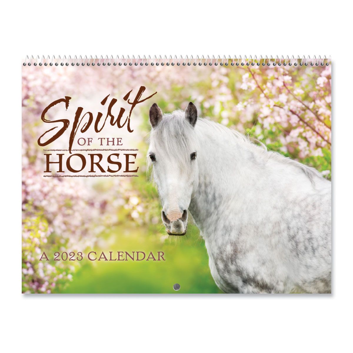 2023 Horses Wall Calendar | Current Catalog