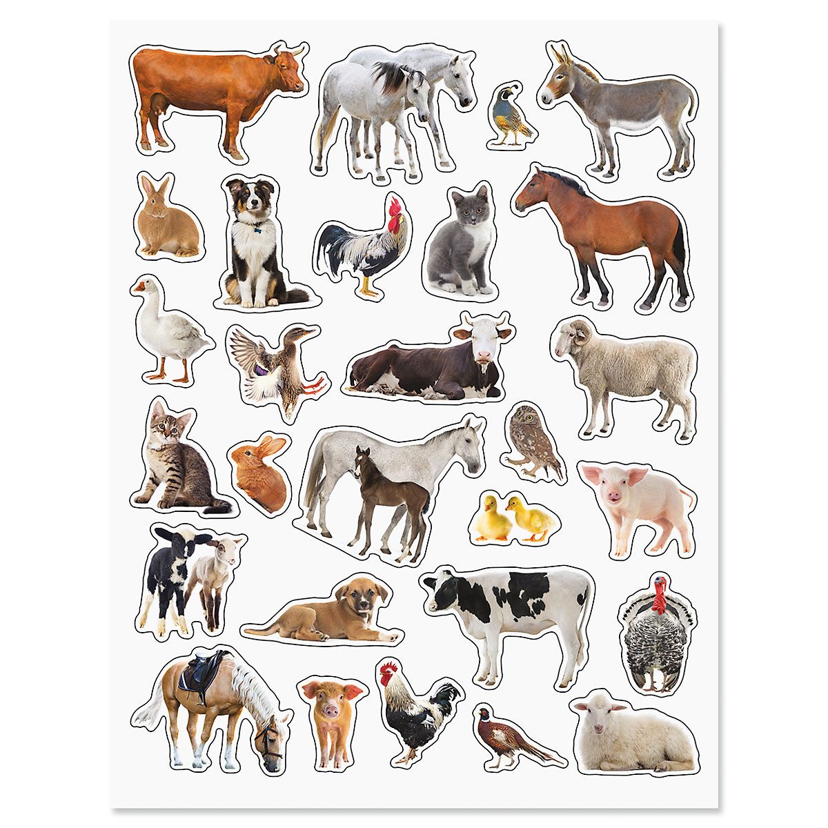 Farm Animal Stickers - BOGO | Current Catalog