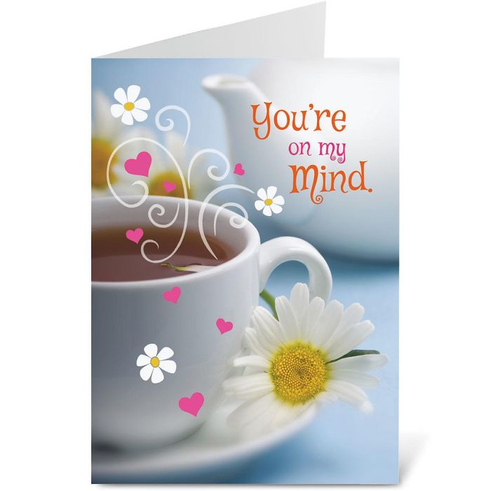 Greeting Cards by Current Catalog