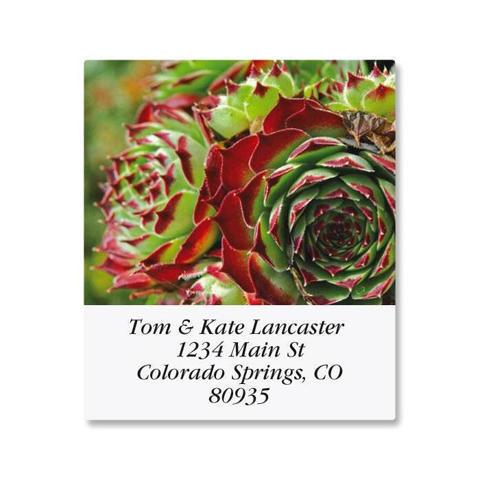 Cactus Flower Select Address Labels Current Catalog