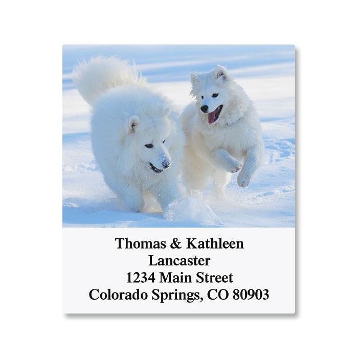 Doggone It! Select Address Labels Current Catalog