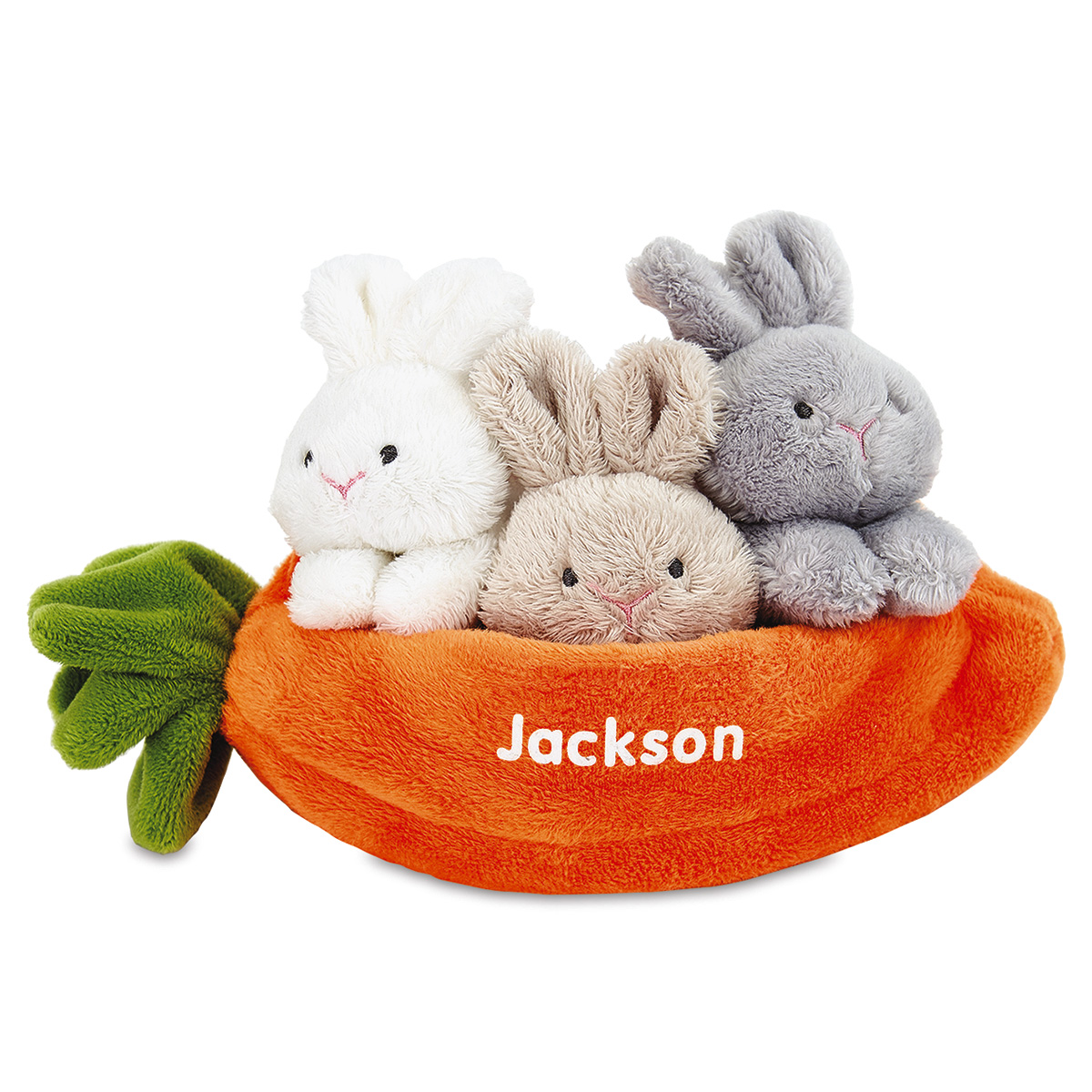 Learn & Grow Personalized Carrot with Bunnies Current Catalog
