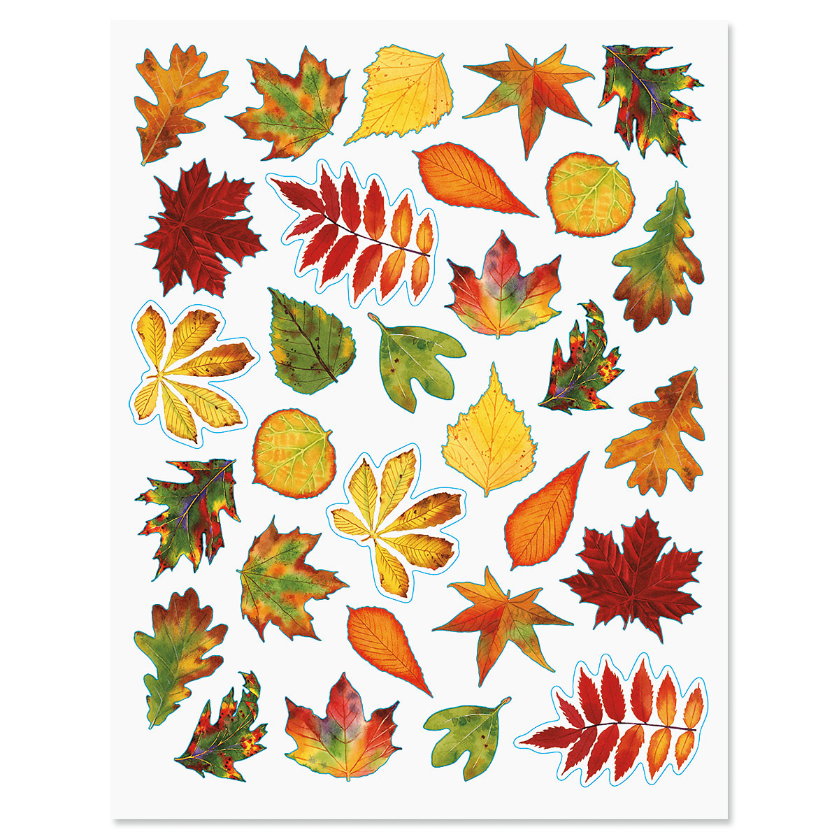 Painted Leaves Stickers | Current Catalog