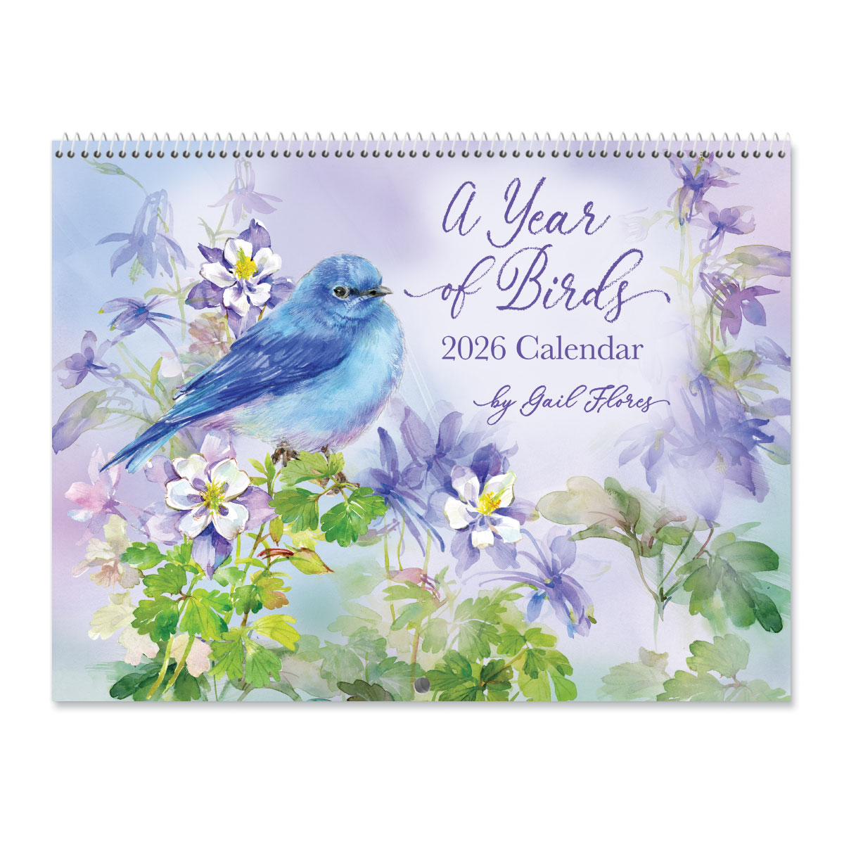 2026 A Year of Birds Wall Calendar | Current Catalog