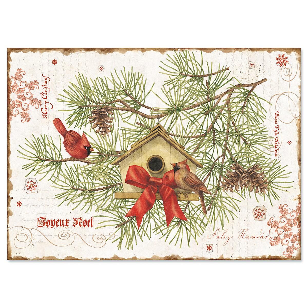 Nature's Praise Religious Christmas Cards | Current Catalog
