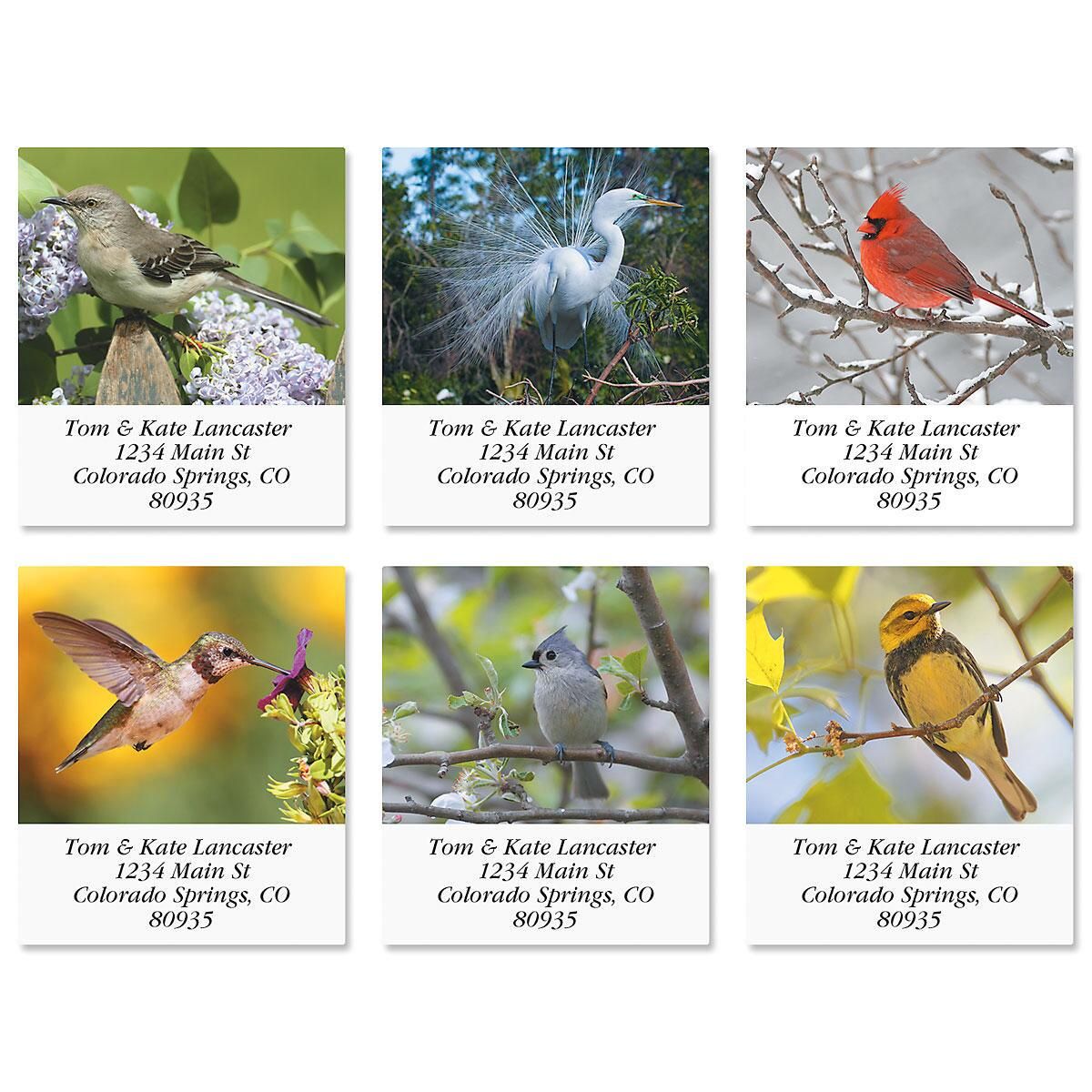 bird lover select address labels current catalog bird lover select address labels current catalog