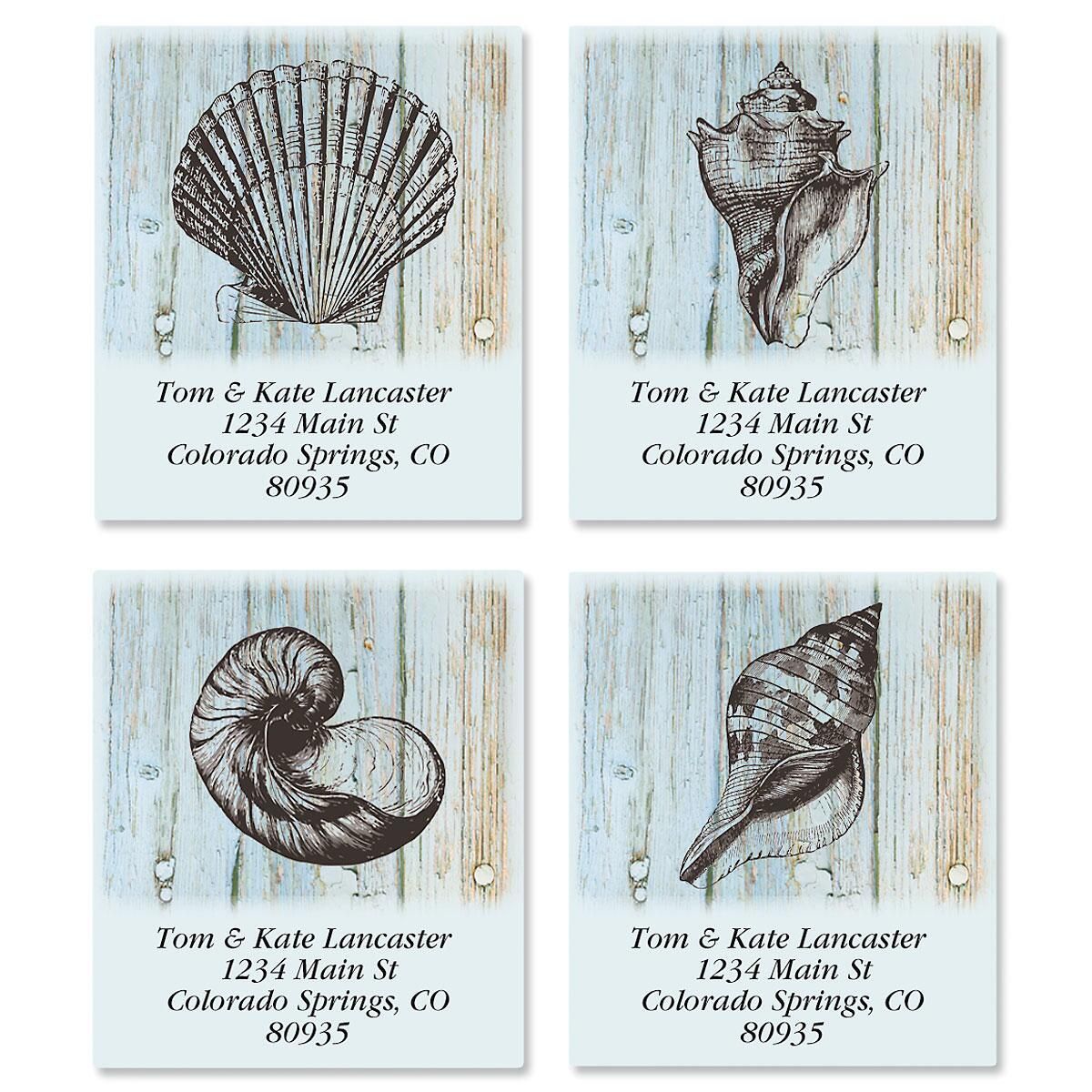 Coastal Shells Select Address Labels Current Catalog
