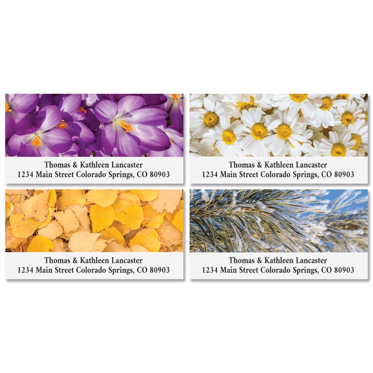 4 Seasons Deluxe Address Labels (4 Designs) Current Catalog