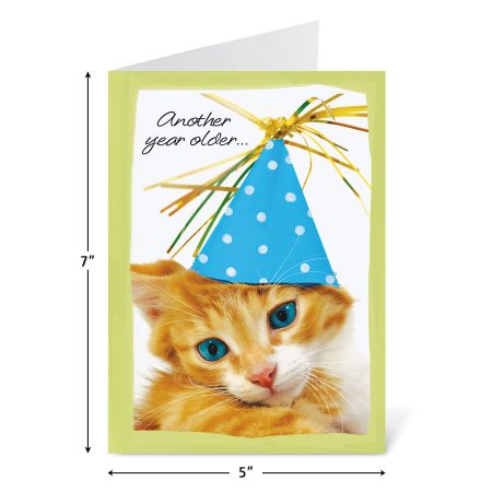 Mega Birthday Greeting Cards Value Pack 614077 | Current Catalog