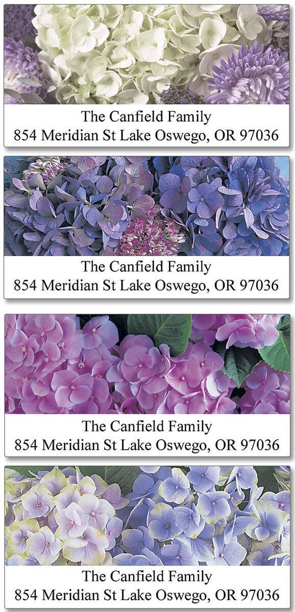 Hydrangea Deluxe Label Current Catalog