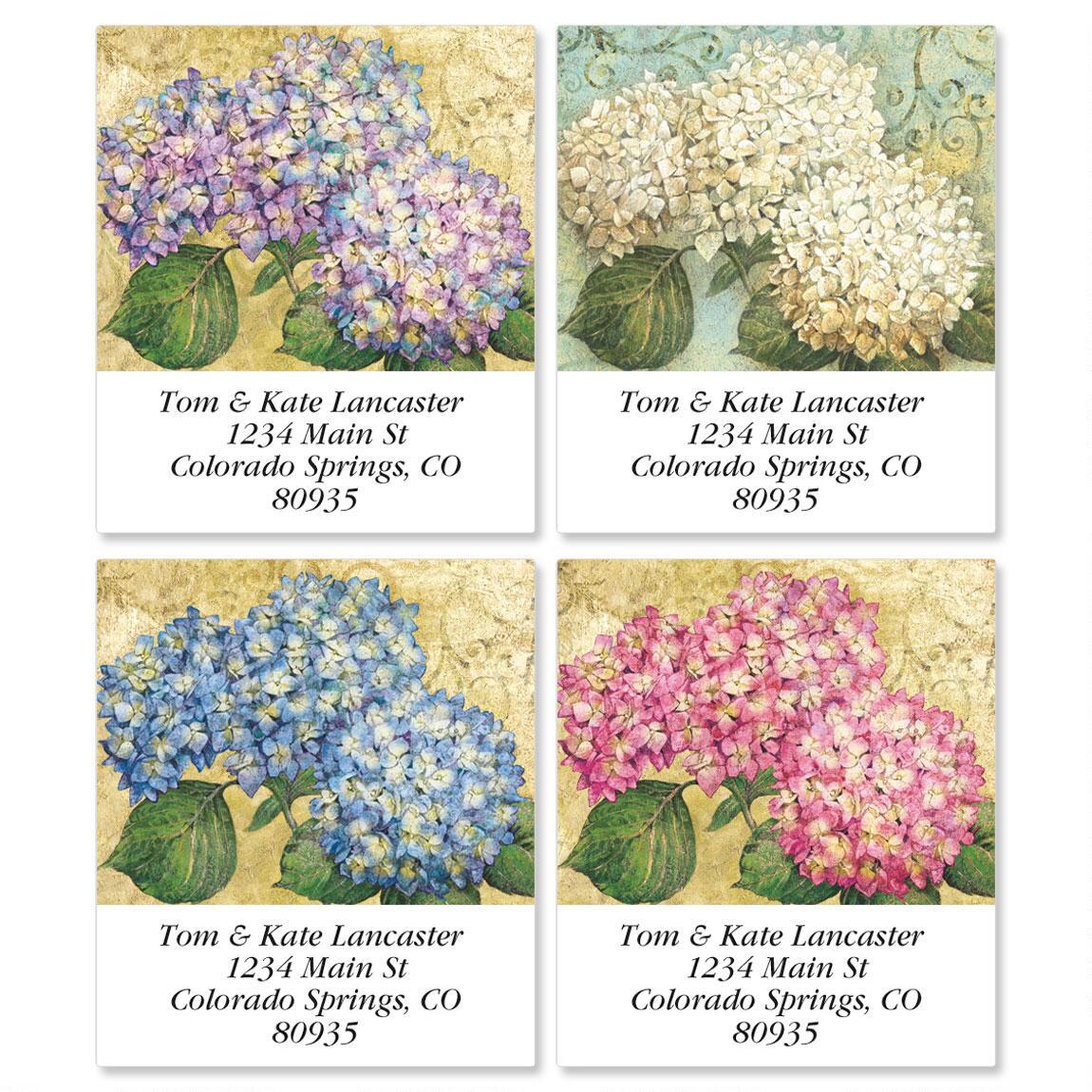 Hydrangea Garden Select Labels Y1941 Current Catalog