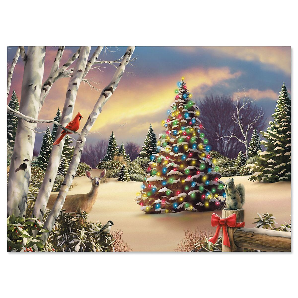 Innocent Light Personalized Christmas Cards Set of 18 Current Catalog
