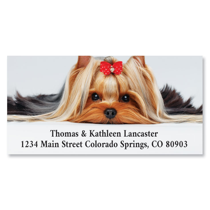 Yorkie Deluxe Address Labels Current Catalog