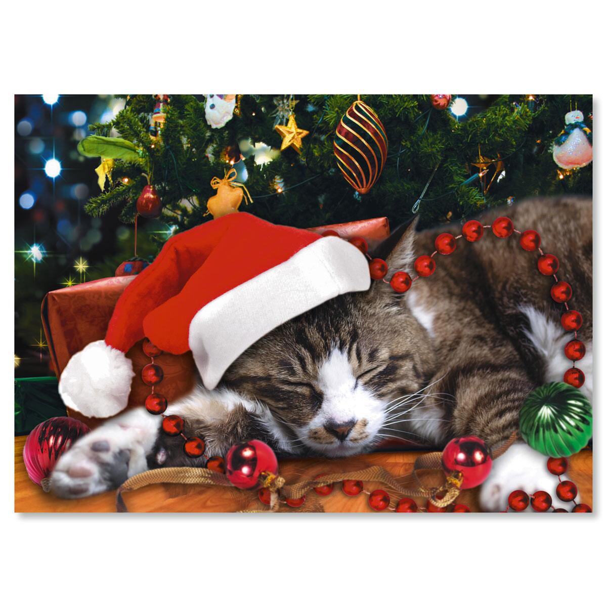 Picture This Christmas Cat Christmas Card Current Catalog