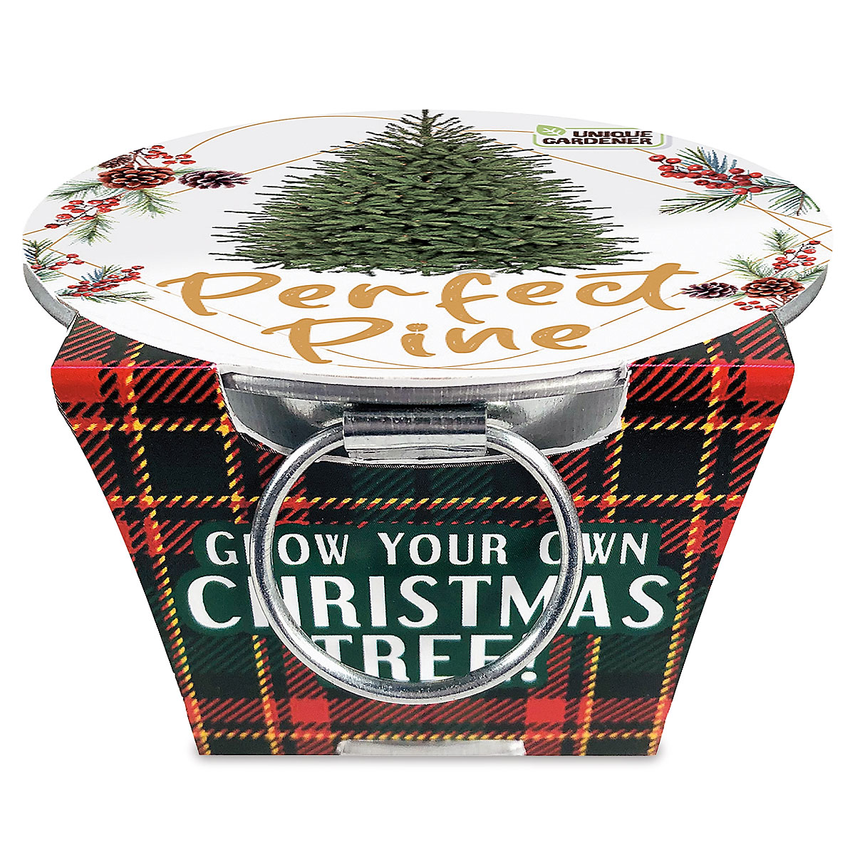 Grow Your Own Christmas Tree Kit Current Catalog