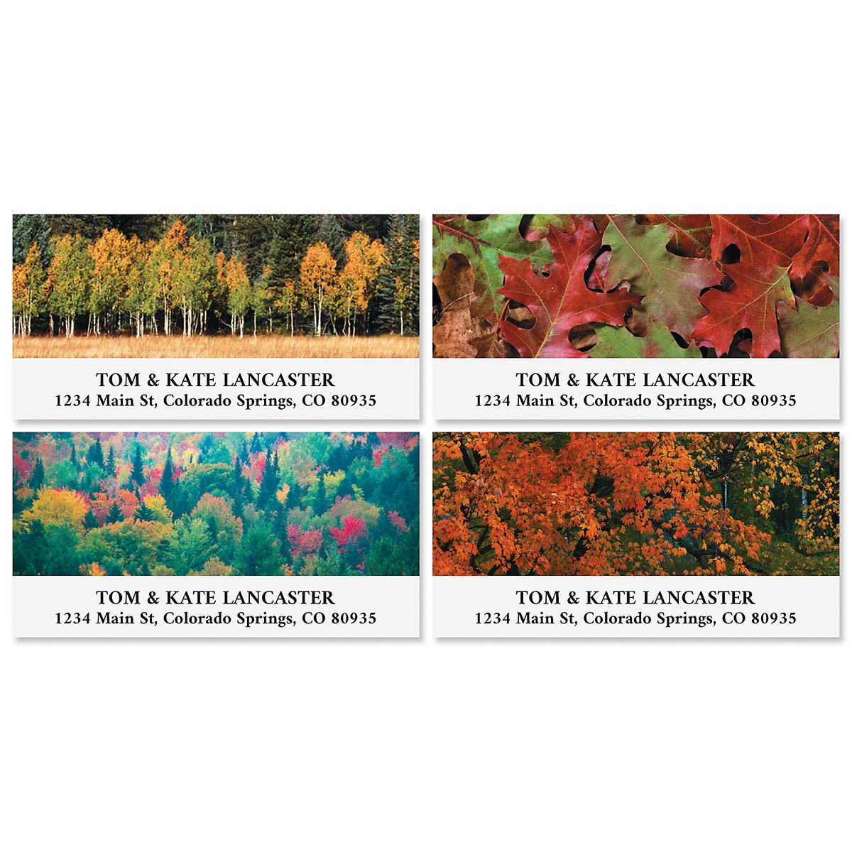 Autumn Colors Deluxe Fall Address Labels | Current Catalog