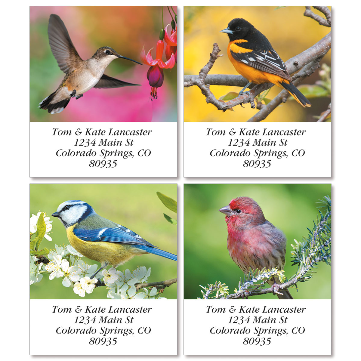 Birds of America Select Address Labels | Current Catalog