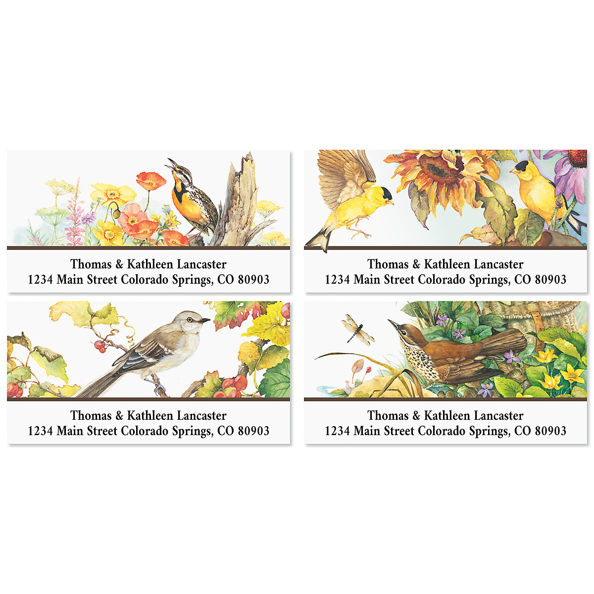 Songbirds Deluxe Address Labels | Current Catalog