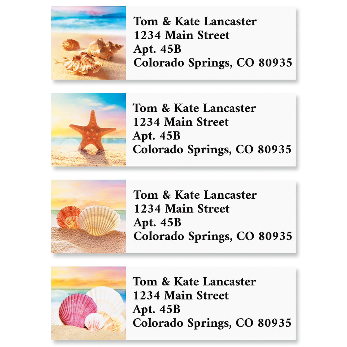 Seashell Beach Classic Address Labels Current Catalog