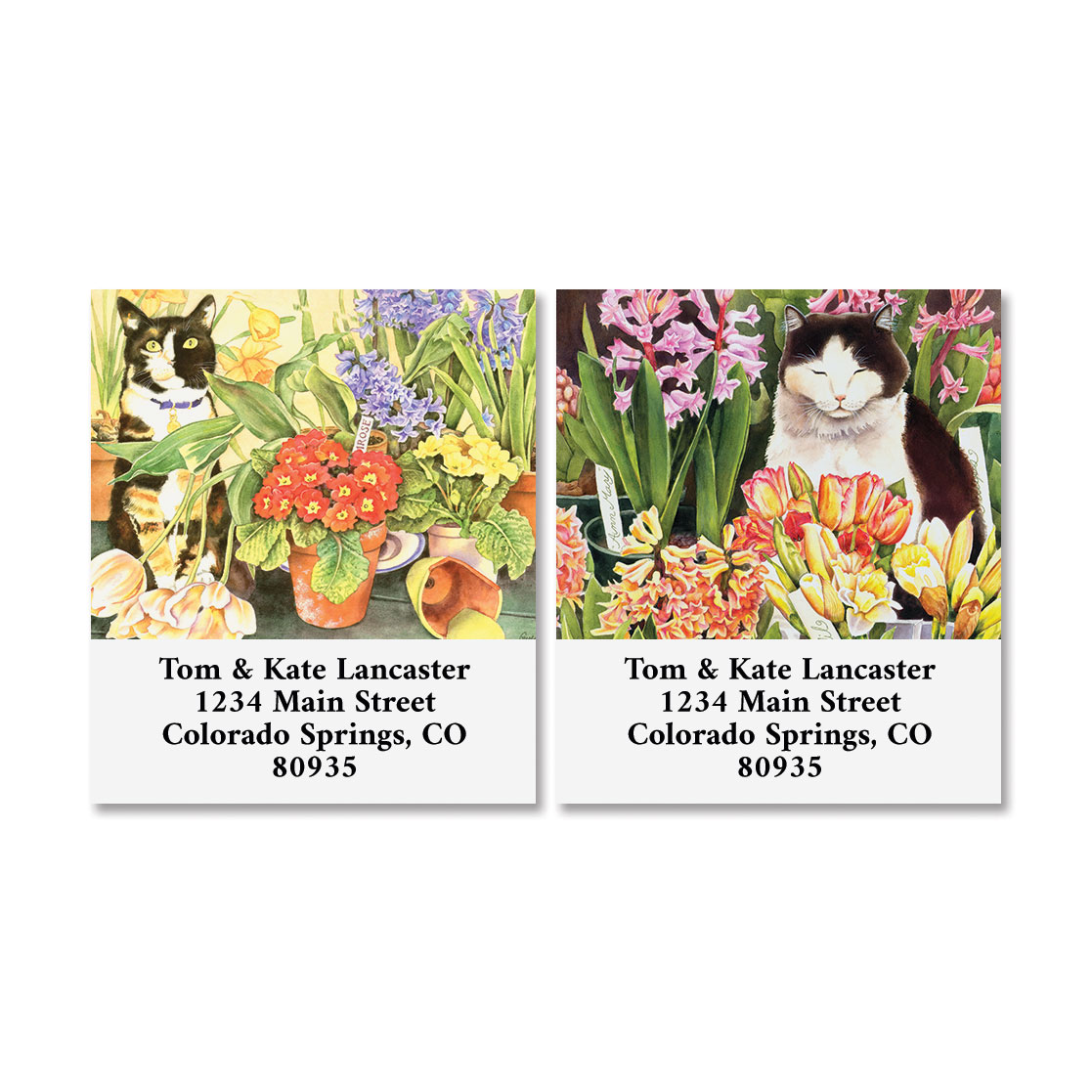 Garden Cats Select Address Labels (2 Designs) | Current Catalog