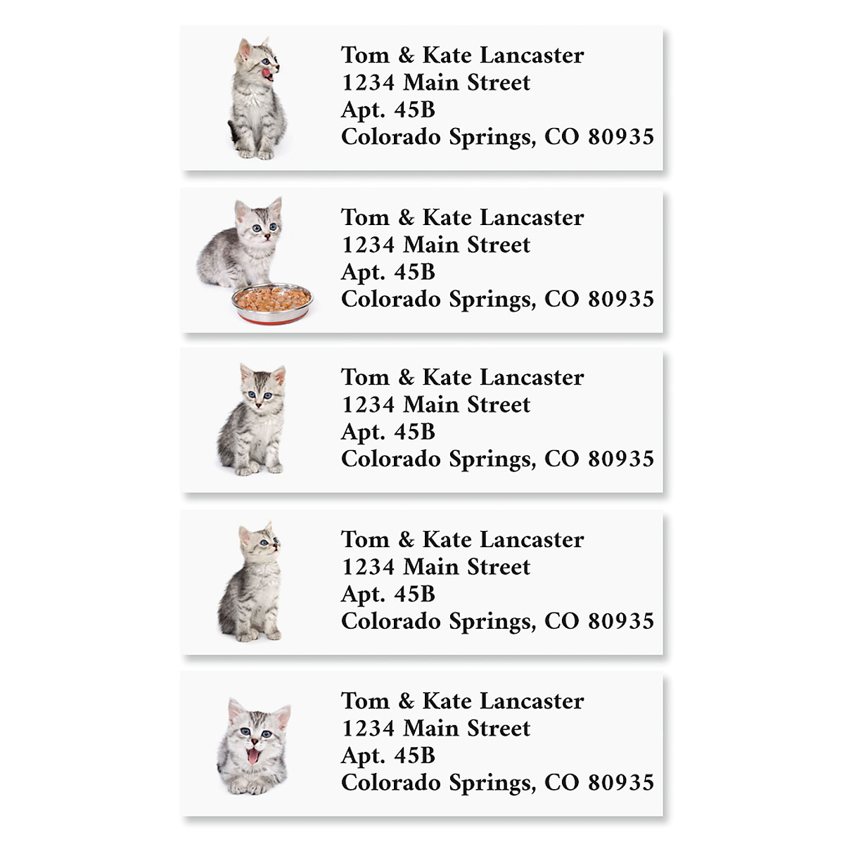 Kitty Cat Classic Address Labels | Current Catalog