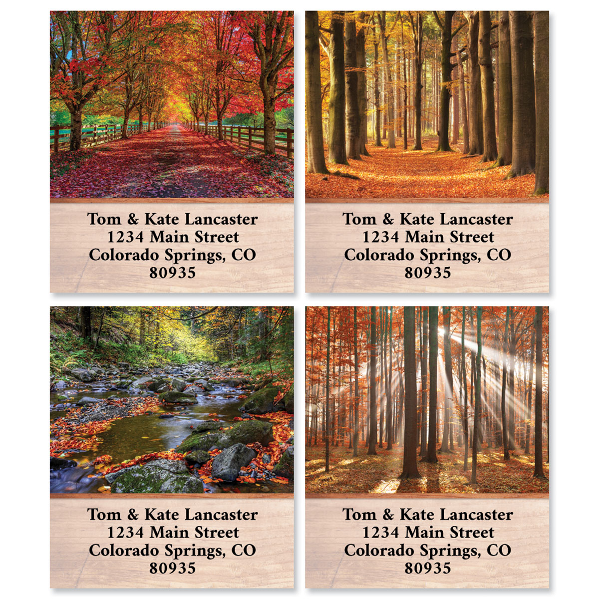 Autumn Brilliance Select Address Labels (4 Designs) | Current Catalog