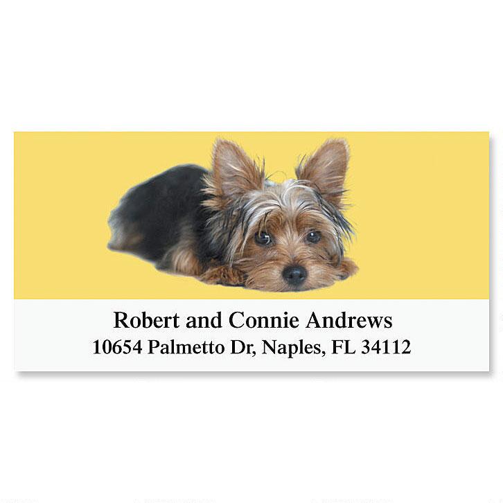 Yorkie Deluxe Address Label L890 Current Catalog