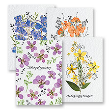 Greeting Cards, All Occasion Cards, & Stationery | Current Catalog