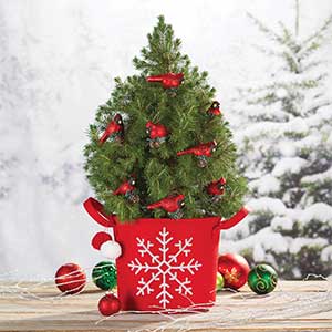 Shop Holidays and Events at Current Catalog