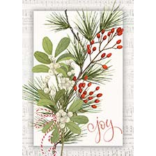 Shop Christmas Cards at Current Catalog