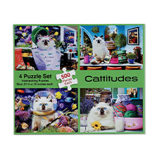 Shop Games & Puzzles at Current Catalog