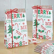 Shop Christmas Treat Bags at Current Catalog