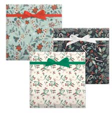 Shop Christmas Flat Wrap at Current Catalog